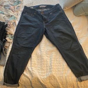 Torrid Jegging Jeans